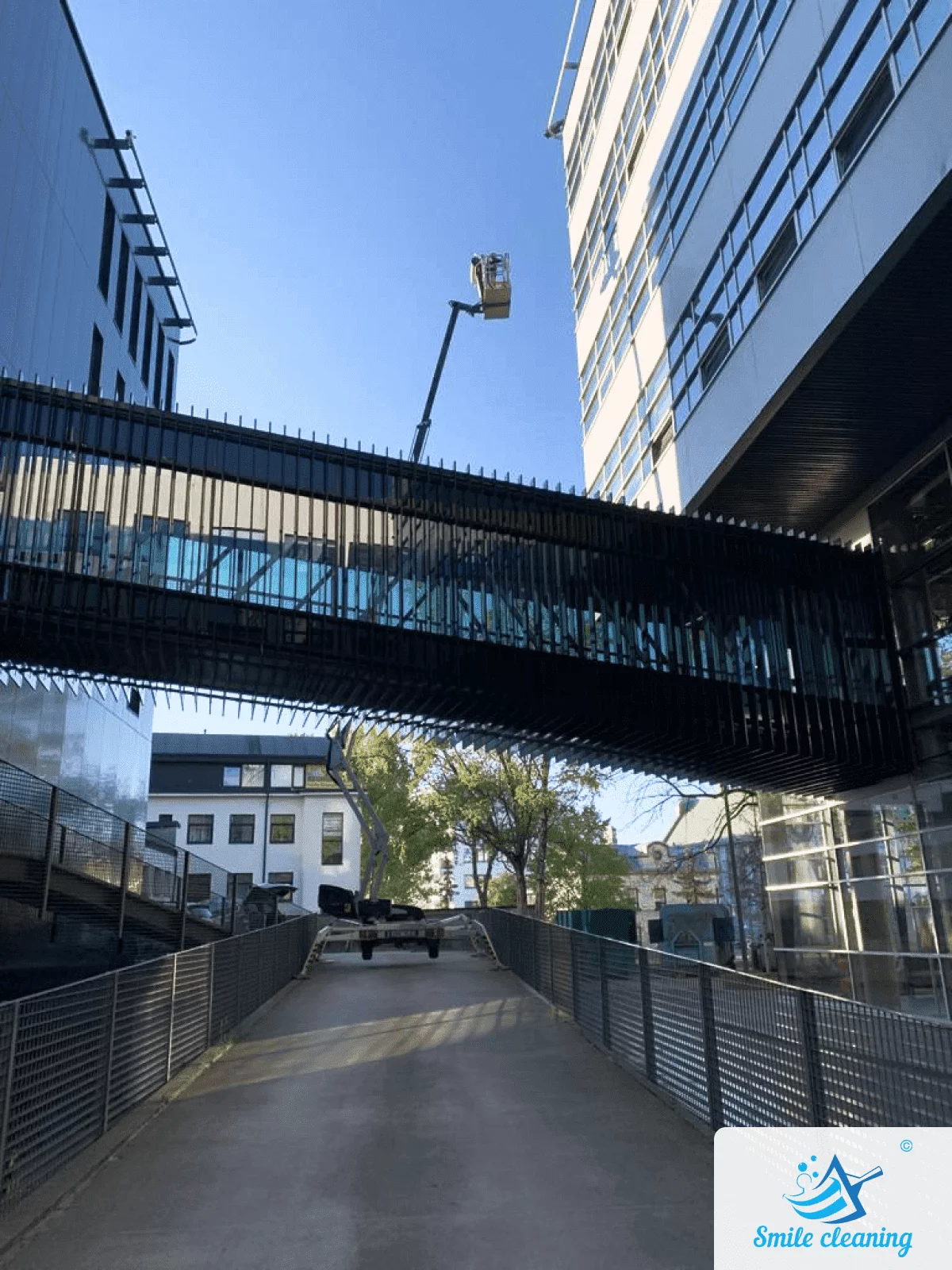 City-wide window cleaning service